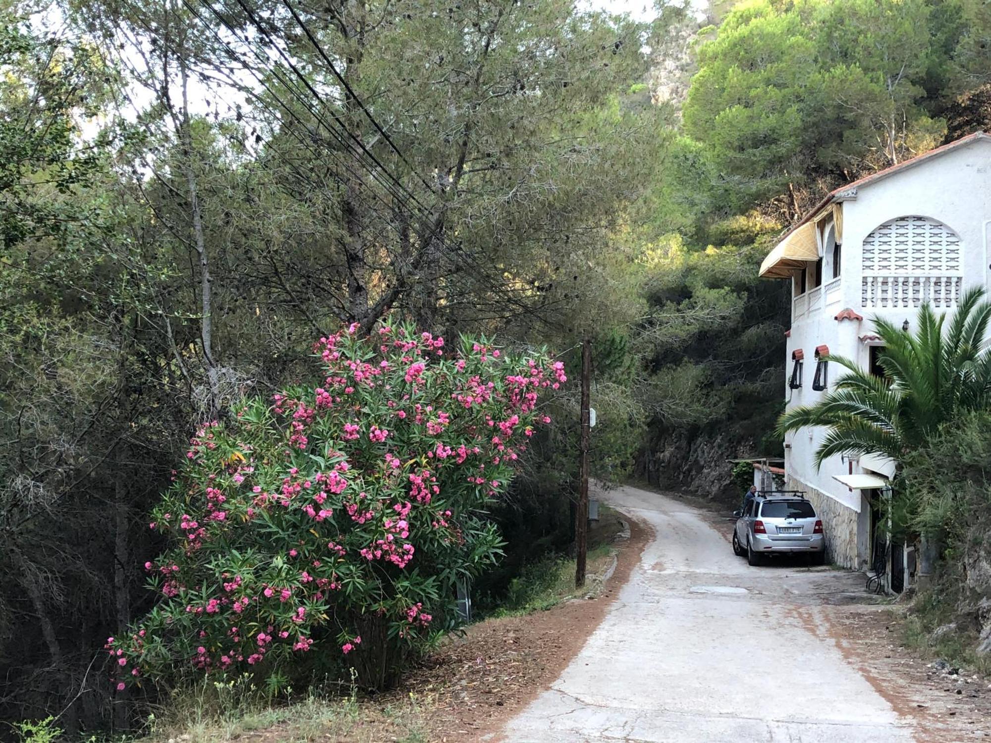 Almisera Villa Almiserat ภายนอก รูปภาพ